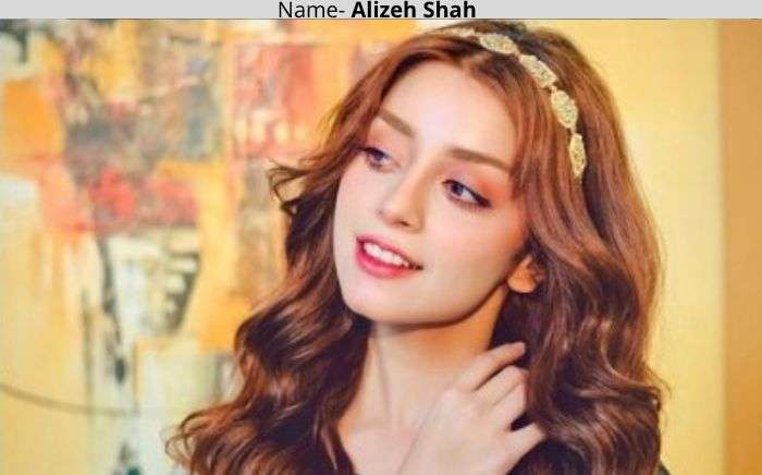 Alizeh Shah affairs