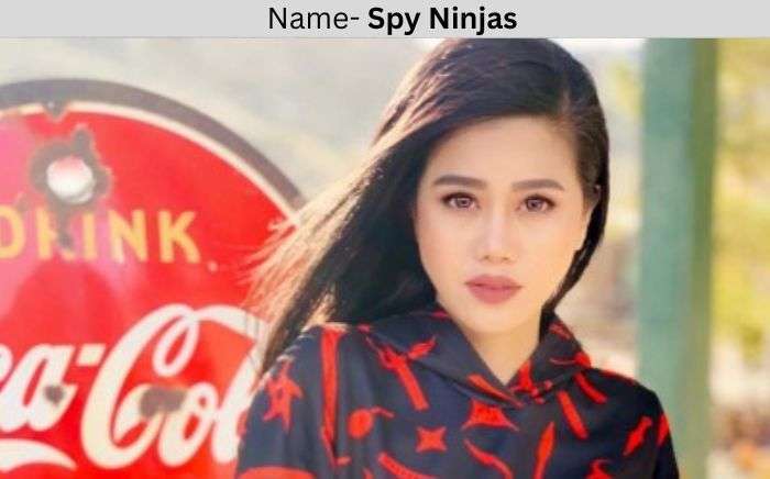 spy ninjas new