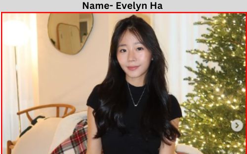 evelyn ha net worth