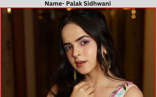 Palak Sidhwani age