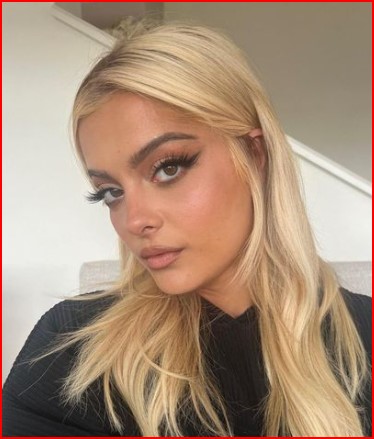 bebe rexha ethnicity