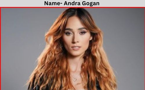 Andra Gogan net worth