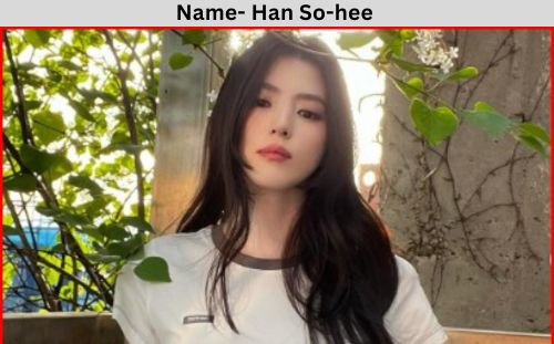 han so hee net worth