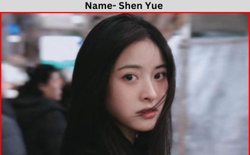 Shen Yue controversy