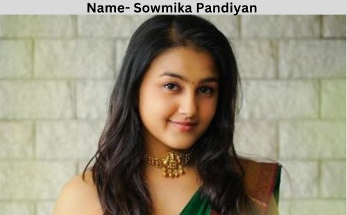Sowmika Pandiyan net worth