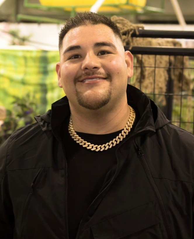 Andy Ruiz Biography