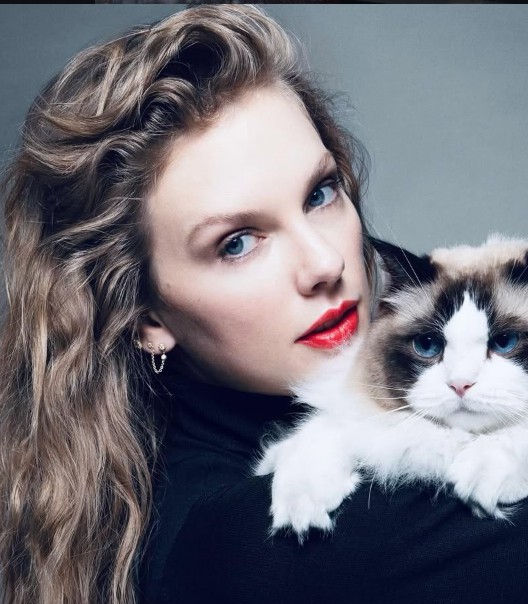 Taylor Swift biography 2025